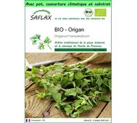 SAFLAX Garden to go - BIO - Origan - 1500 graines - Origanum