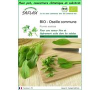 SAFLAX Garden to go - BIO - Oseille commune - 400 graines - Rumex