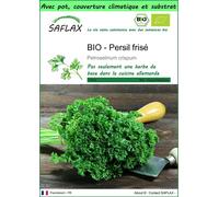 SAFLAX Garden to go - BIO - Persil frisé - 800 graines - Petroselinum