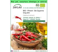 SAFLAX Garden to go - BIO - Piment - De Cayenne long slim - 10 graines - Capsicum