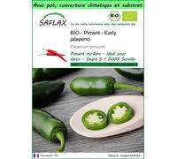 SAFLAX Garden to go - BIO - Piment - Early jalapeno - 20 graines - Capsicum