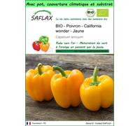 SAFLAX Garden to go - BIO - Poivron - California wonder - Jaune - 20 graines - Capsicum