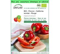 SAFLAX Garden to go - BIO - Poivron - California wonder - Rouge - 20 graines - Capsicum