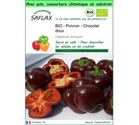 SAFLAX Garden to go - BIO - Poivron - Chocolat doux - 10 graines - Capsicum