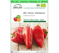 SAFLAX Garden to go - BIO - Poivron - Red Marconi - 20 graines - Capsicum