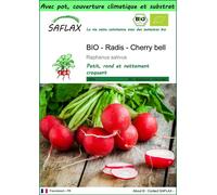 SAFLAX Garden to go - BIO - Radis - Cherry bell - 100 graines - Raphanus