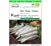 SAFLAX Garden to go - BIO - Radis - Daïkon - 100 graines - Raphanus