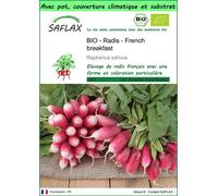 SAFLAX Garden to go - BIO - Radis - French breakfast - 150 graines - Raphanus
