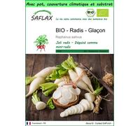 SAFLAX Garden to go - BIO - Radis - Glaçon - 100 graines - Raphanus