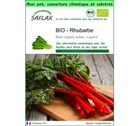 SAFLAX Garden to go - BIO - Rhubarbe - 50 graines - Beta