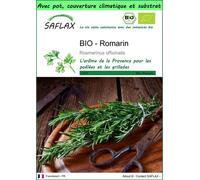 SAFLAX Garden to go - BIO - Romarin - 40 graines - Rosmarinus