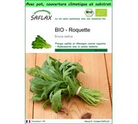 SAFLAX Garden to go - BIO - Roquette - 3000 graines - Eruca