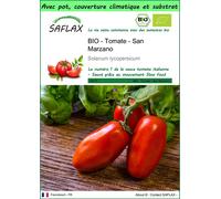 SAFLAX Garden to go - BIO - Tomate - San Marzano - 15 graines - Solanum
