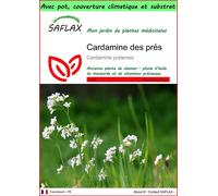 SAFLAX Garden to go - Cardamine des prés - 100 graines - Cardamine