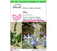 SAFLAX Garden to go - Chia - 500 graines - Salvia