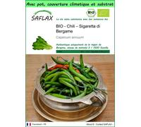 SAFLAX Garden to go - Chili – Sigaretta di Bergame - 10 graines - Capsicum