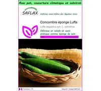 SAFLAX Garden to go - Concombre éponge Luffa - 10 graines - Luffa