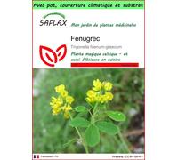 SAFLAX Garden to go - Fenugrec - 100 graines - Trigonella