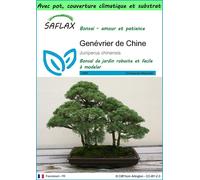 SAFLAX Garden to go - Genévrier de Chine - 30 graines - Juniperus