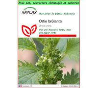 SAFLAX Garden to go - Ortie brûlante - 150 graines - Urtica