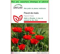 SAFLAX Garden to go - Pavot de maïs - 27000 graines - Papaver