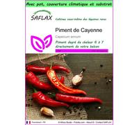 SAFLAX Garden to go - Piment de Cayenne - 20 graines - Capsicum
