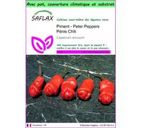SAFLAX Garden to go - Piment - Peter Peppers Pénis Chili - 10 graines - Capsicum
