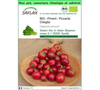 SAFLAX Garden to go - Piment - Piccante Cilieglia - 10 graines - Capsicum
