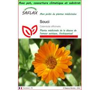 SAFLAX Garden to go - Souci - 50 graines - Calendula