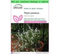 SAFLAX Garden to go - Thym commun - 200 graines - Thymus