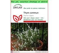 SAFLAX Garden to go - Thym commun - 200 graines - Thymus