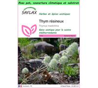 SAFLAX Garden to go - Thym résineux - 250 graines - Thymus