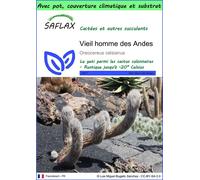 SAFLAX Garden to go - Vieil homme des Andes - 40 graines - Oreocereus