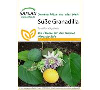 SAFLAX - Grenadelle - 20 graines - Passiflora ligularis