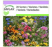 SAFLAX - Gros nains de jardin - 1000 graines - 20 Sorten