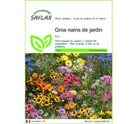 SAFLAX - Gros nains de jardin - 1000 graines - Mix