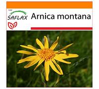 SAFLAX - Jardin dans le sac - Arnica des montagnes - 40 graines - Arnica montana