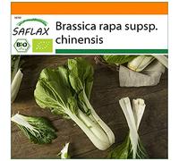 SAFLAX - Jardin dans le sac - BIO - Bok choy - 300 graines - Avec substrat de culture dans un sac de levage facile à manipuler. - Brassica rapa