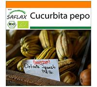 SAFLAX - Jardin dans le sac - BIO - Courge - Delicata - 6 graines - Avec substrat de culture dans un sac de levage facile à manipuler. - Cucurbita pepo