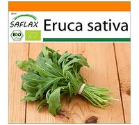 SAFLAX - Jardin dans le sac - BIO - Roquette - 3000 graines - Avec substrat de culture dans un sac de levage facile à manipuler. - Eruca sativa