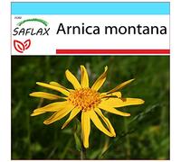 SAFLAX - Kit cadeau - Arnica des montagnes - 40 graines - Arnica montana