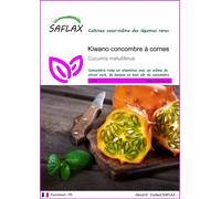SAFLAX - Kiwano concombre à cornes - 10 graines - Cucumis