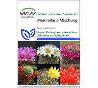 Saflax Mammillaria - Mélange - 1 sachet