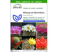 SAFLAX - Mélange de Mammillaria - 40 graines - Avec substrat - Mammilaria