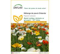 SAFLAX - Mélange de pavot d'Islande - 8000 graines - Papaver