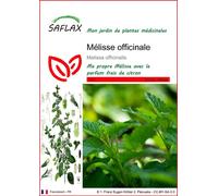SAFLAX - Mélisse officinale - 150 graines - Melissa