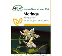 SAFLAX - Moringa - 10 graines - Moringa