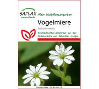 Saflax Mouron des Oiseaux - 1 sachet