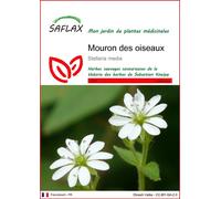 SAFLAX - Mouron des oiseaux - 1000 graines - Stellaria