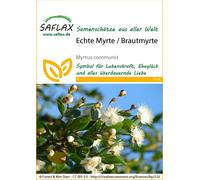 Saflax Myrte Commun - 1 sachet